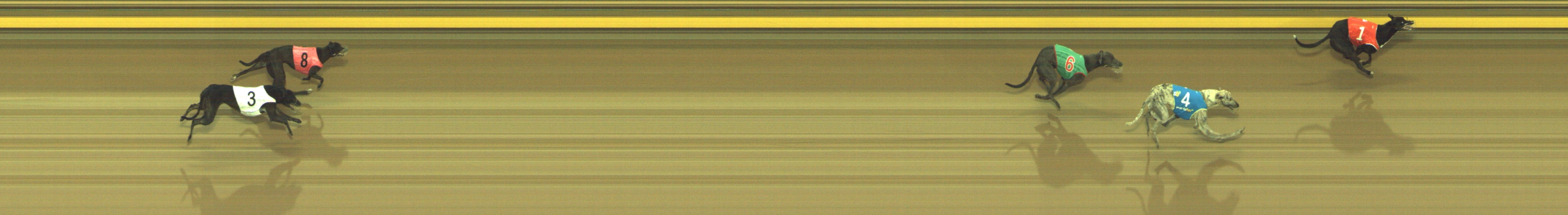 Photo finish for Geelong Race 2