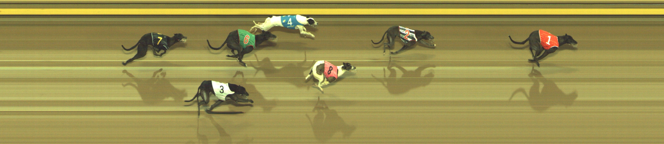 Photo finish for Geelong Race 3