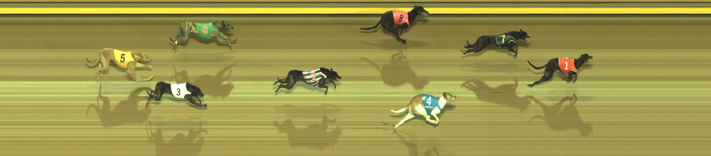 Photo finish for Geelong Race 4