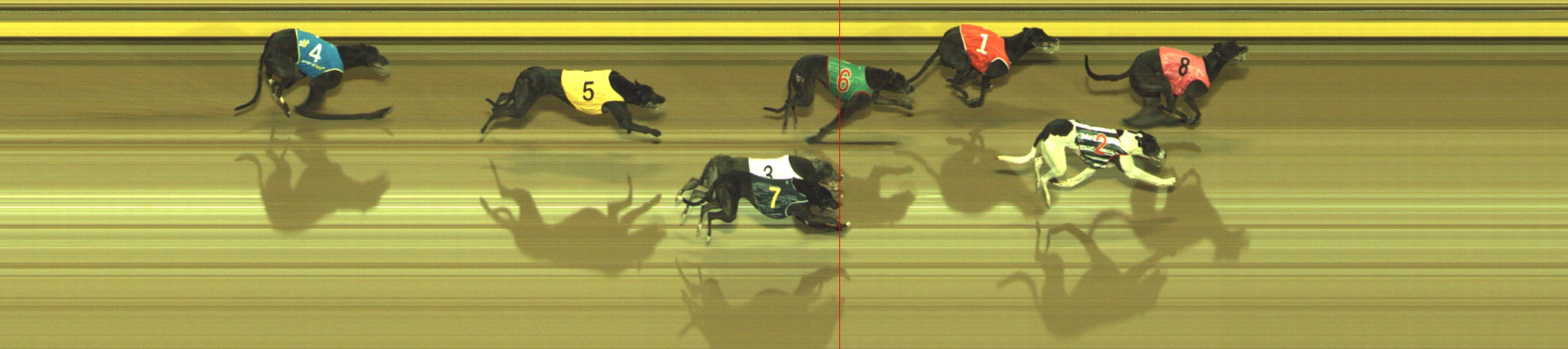 Photo finish for Geelong Race 5