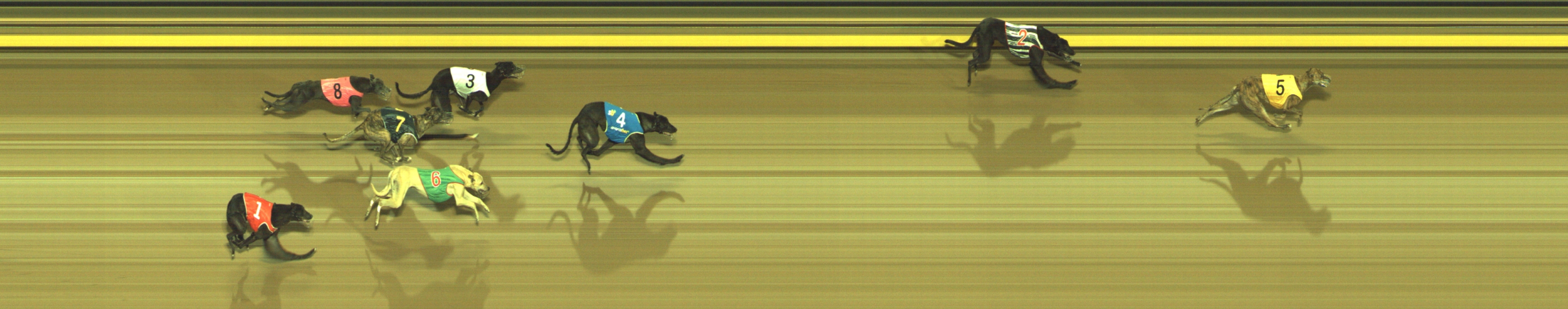 Photo finish for Geelong Race 6