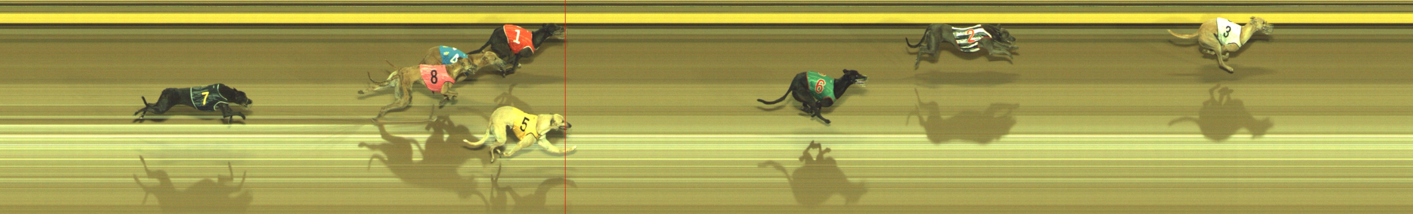 Photo finish for Geelong Race 7