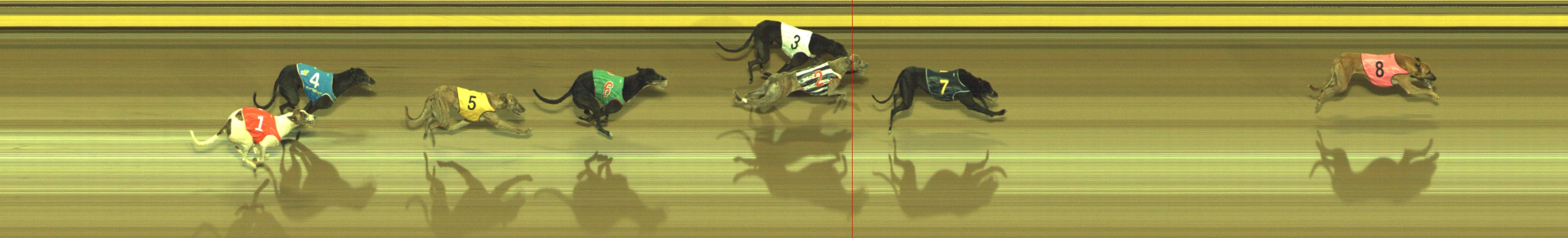Photo finish for Geelong Race 8