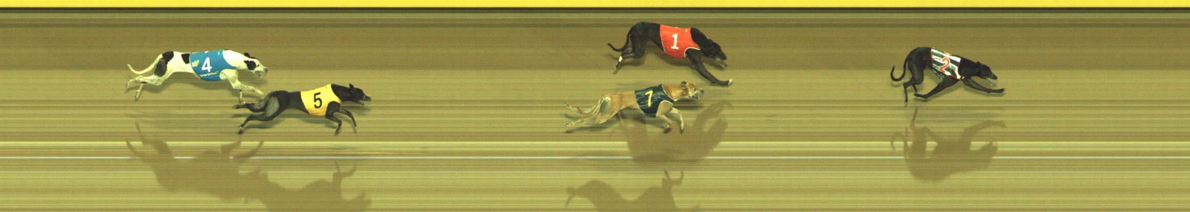 Photo finish for Geelong Race 9