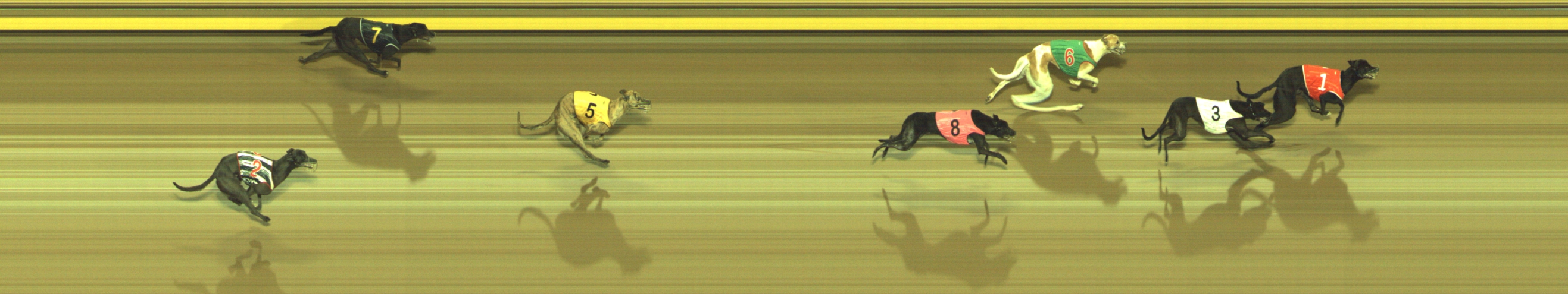 Photo finish for Geelong Race 10