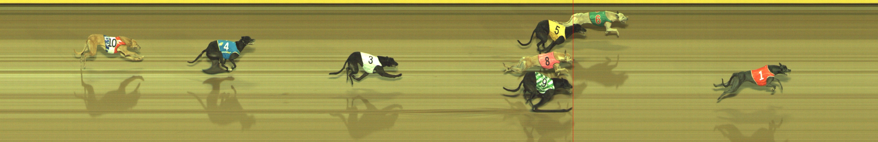Photo finish for Geelong Race 11