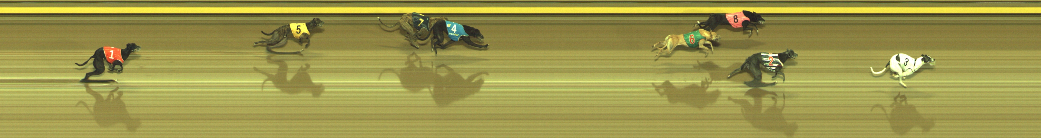 Photo finish for Geelong Race 12