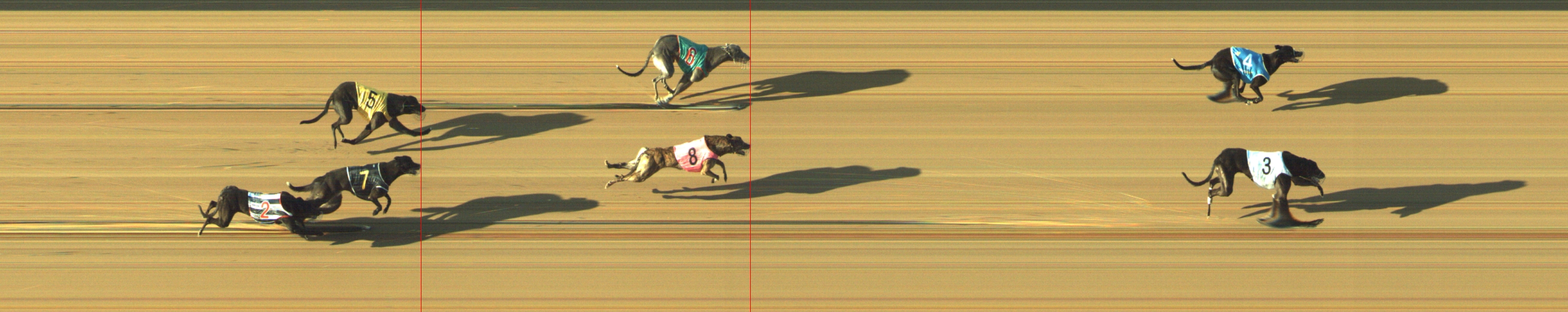 Photo finish for Geelong Race 2