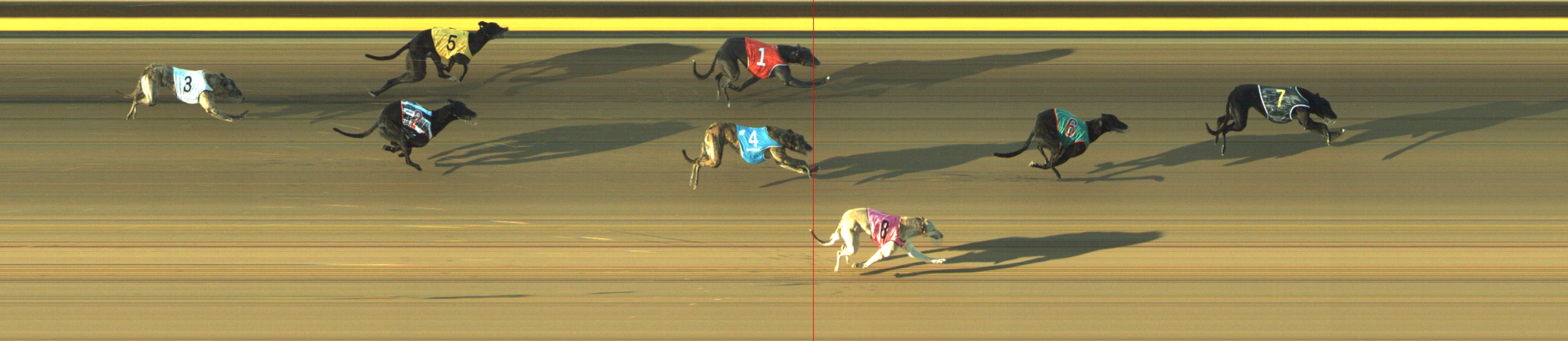 Photo finish for Geelong Race 3