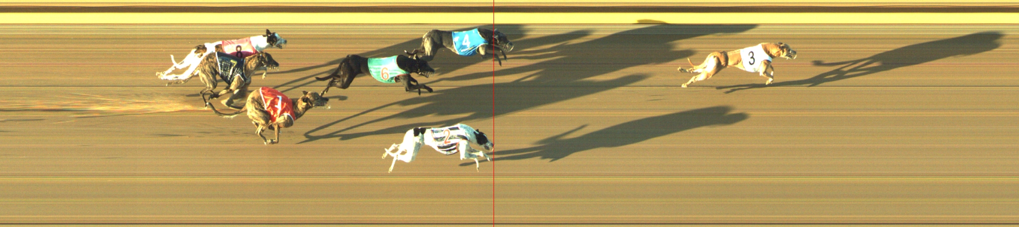 Photo finish for Geelong Race 4