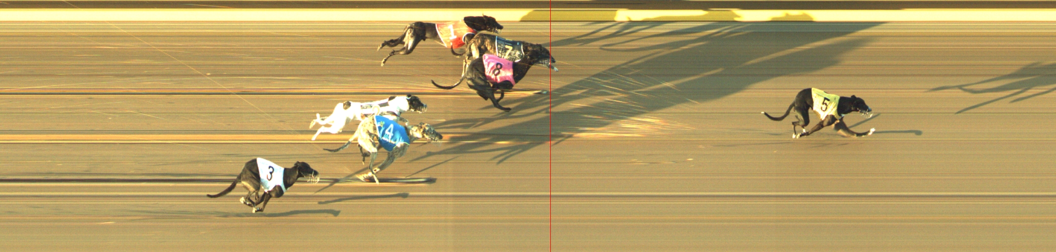 Photo finish for Geelong Race 5