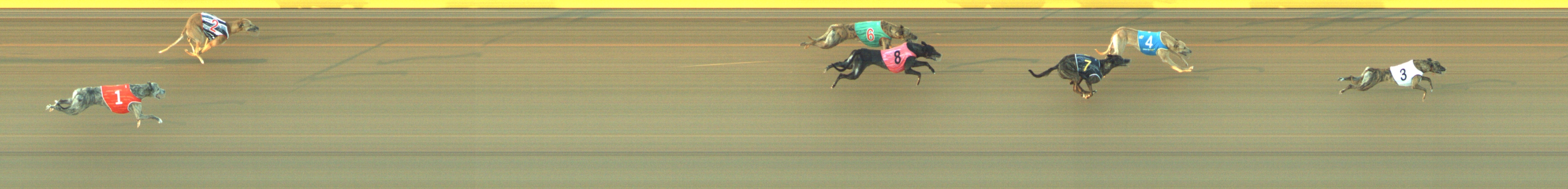 Photo finish for Geelong Race 6
