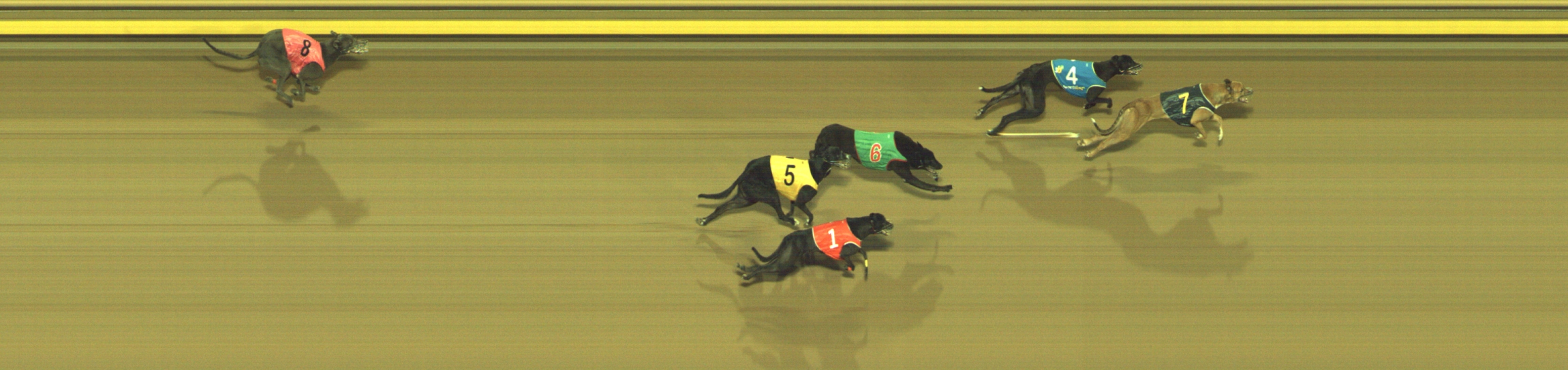 Photo finish for Geelong Race 7