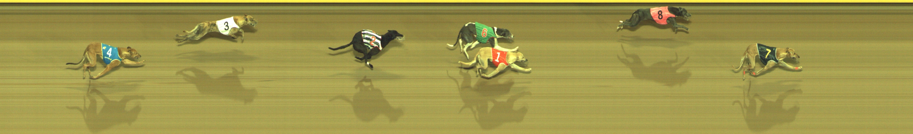 Photo finish for Geelong Race 8