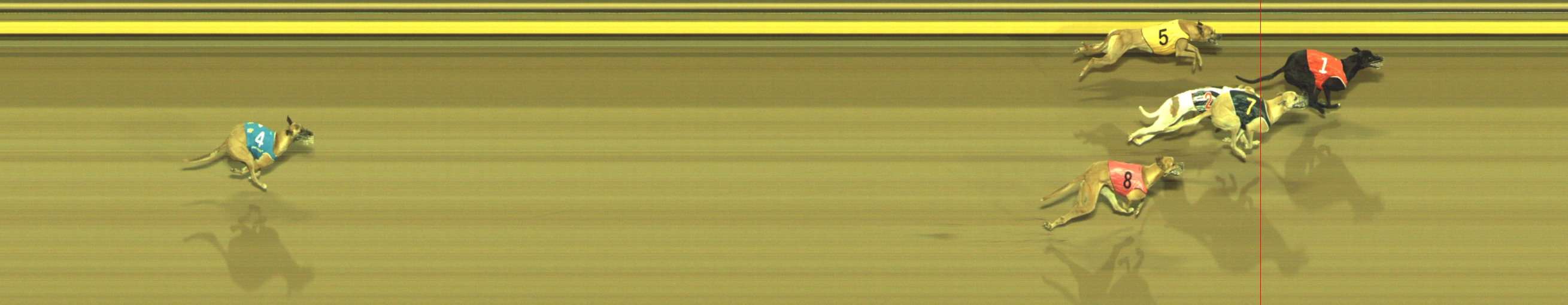 Photo finish for Geelong Race 9