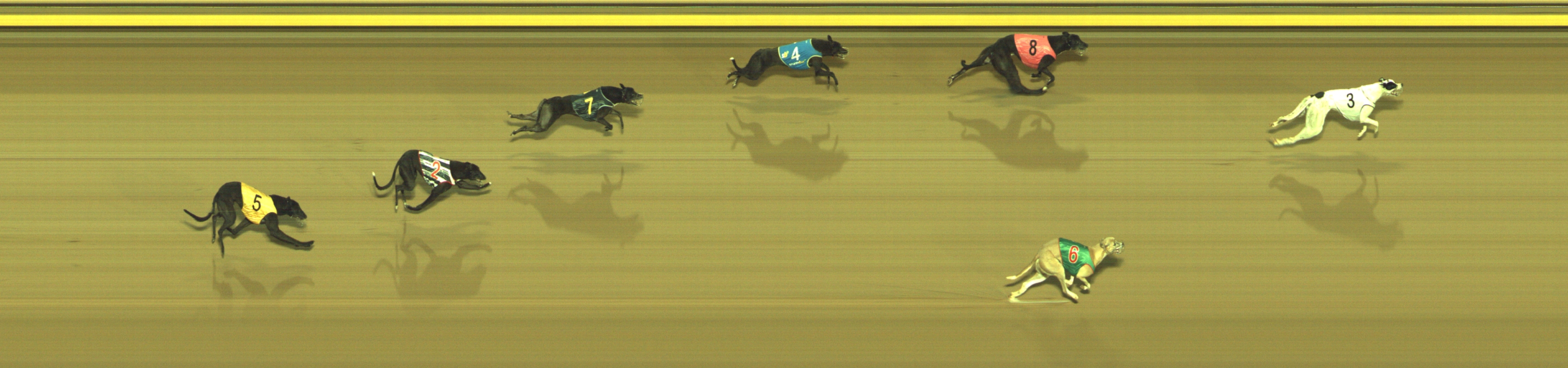 Photo finish for Geelong Race 10
