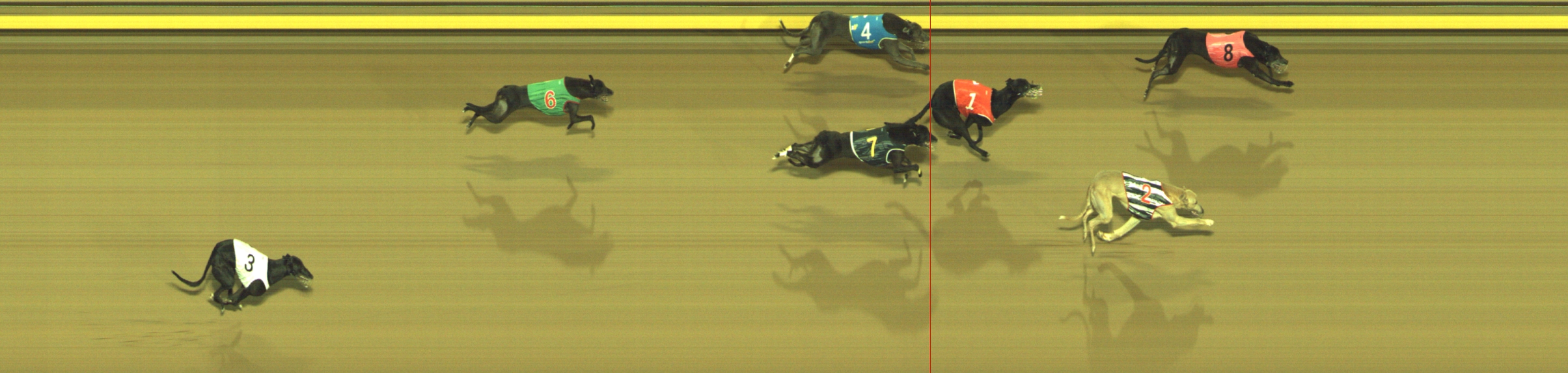 Photo finish for Geelong Race 11