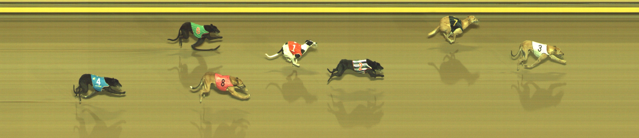 Photo finish for Geelong Race 12