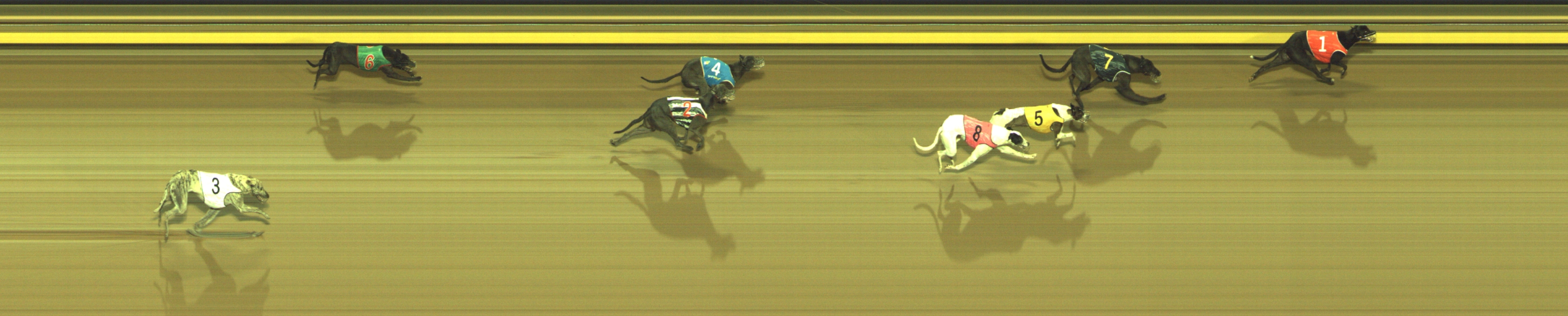 Photo finish for Geelong Race 4