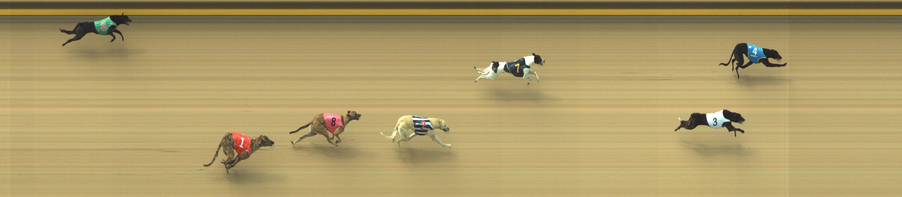 Photo finish for Geelong Race 1