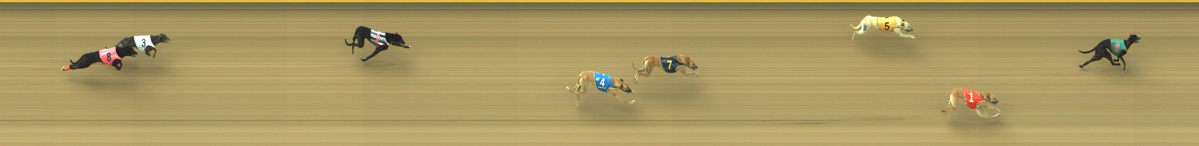 Photo finish for Geelong Race 2