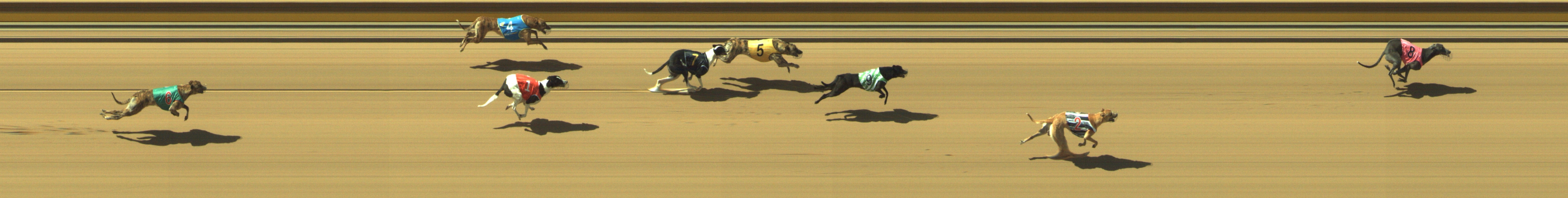 Photo finish for Geelong Race 3