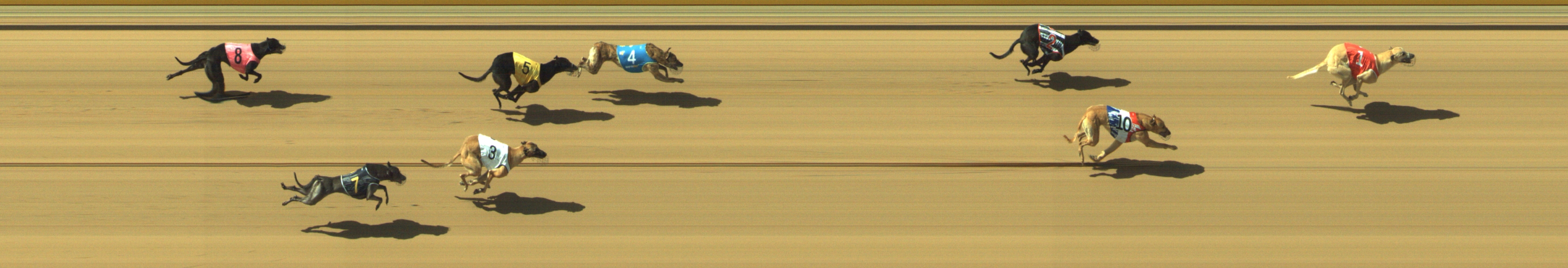 Photo finish for Geelong Race 4