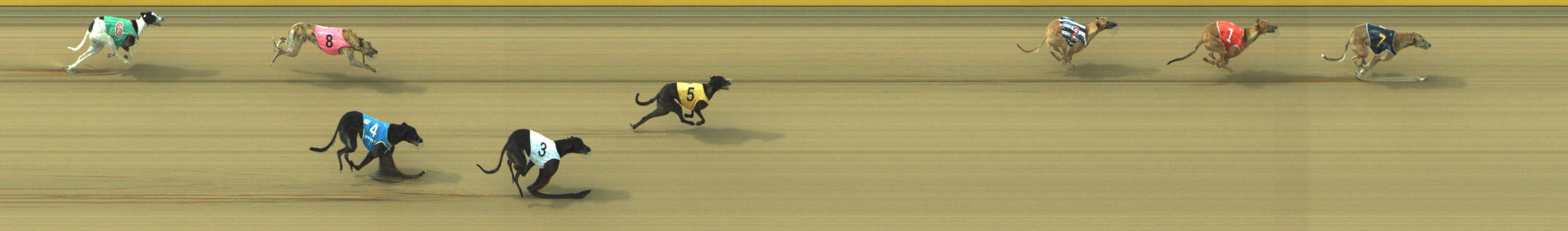 Photo finish for Geelong Race 5