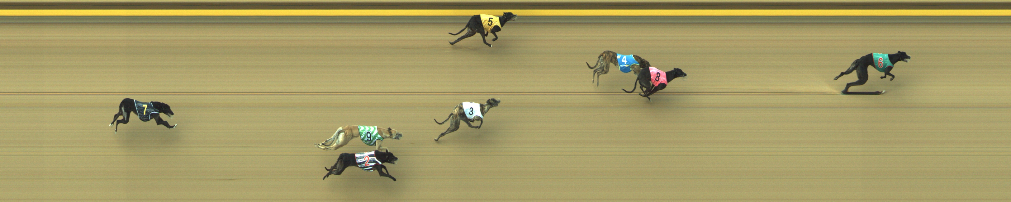 Photo finish for Geelong Race 6