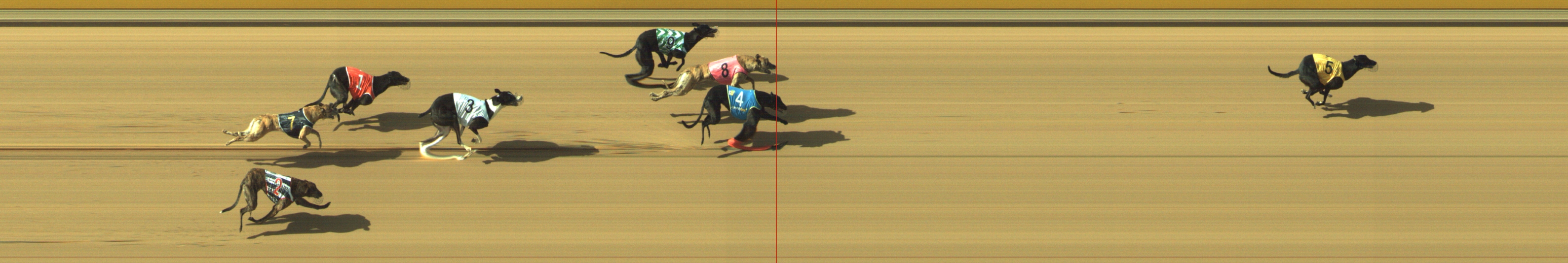 Photo finish for Geelong Race 7