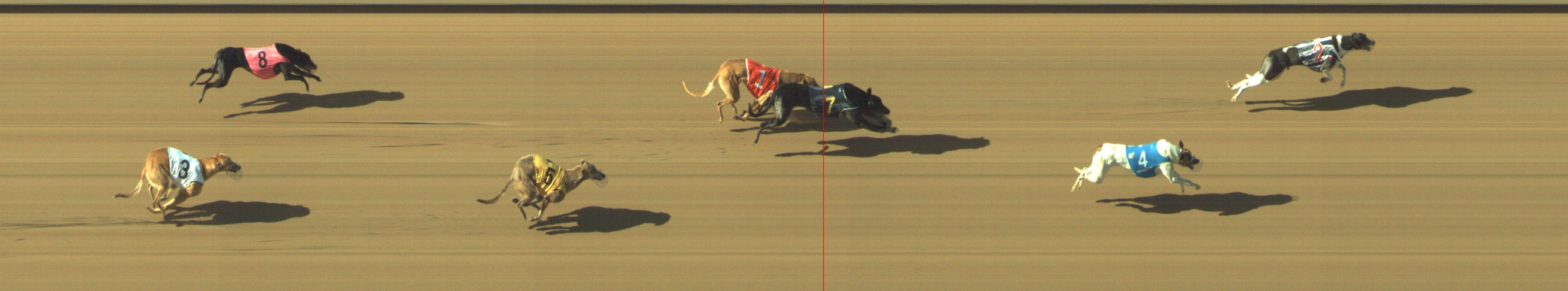 Photo finish for Geelong Race 8