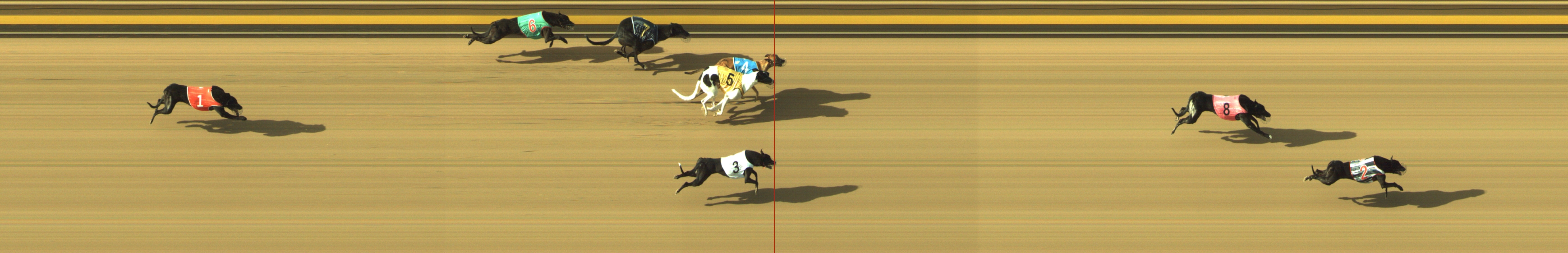 Photo finish for Geelong Race 9