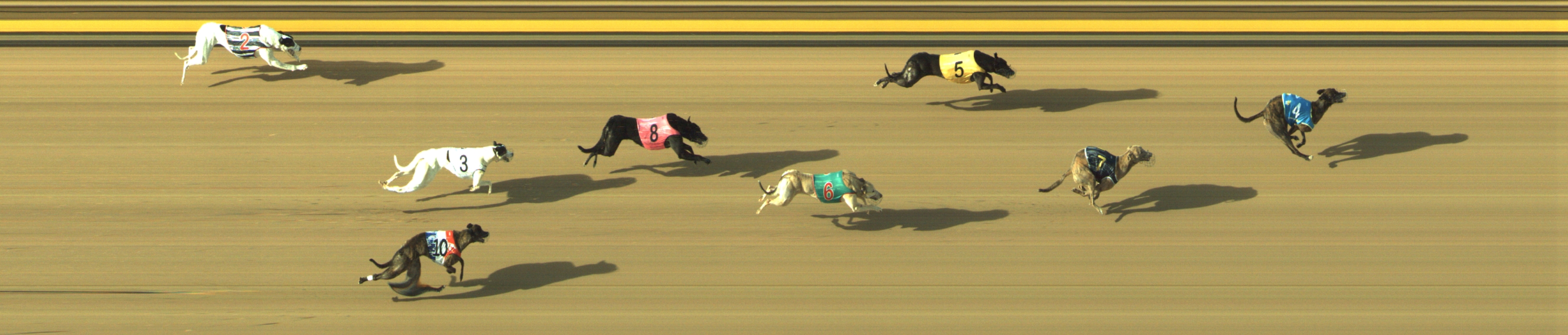 Photo finish for Geelong Race 10