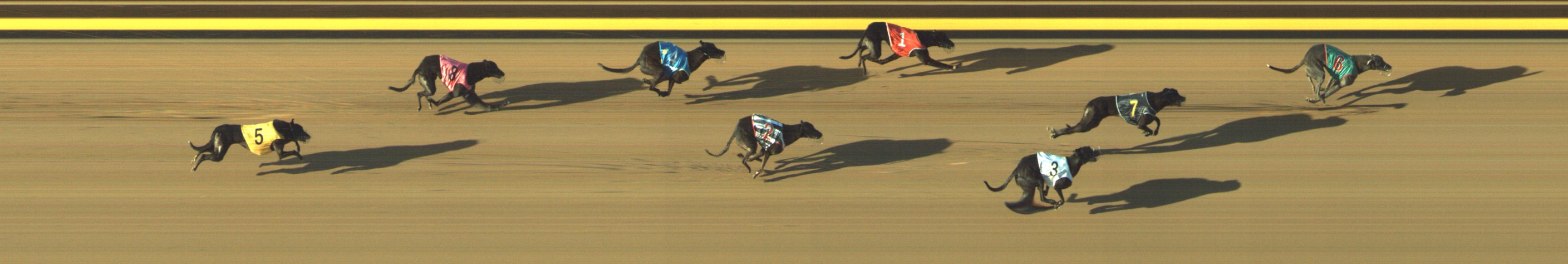 Photo finish for Geelong Race 11