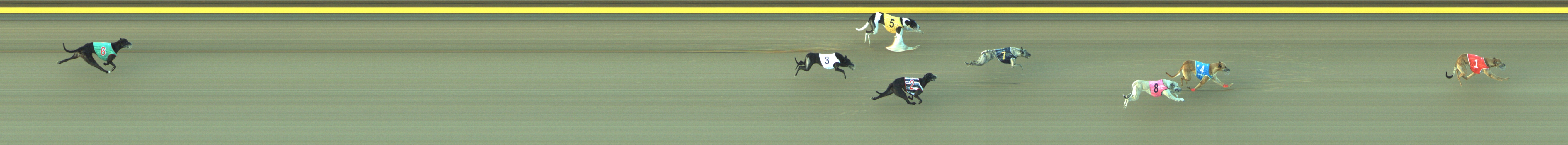 Photo finish for Geelong Race 12