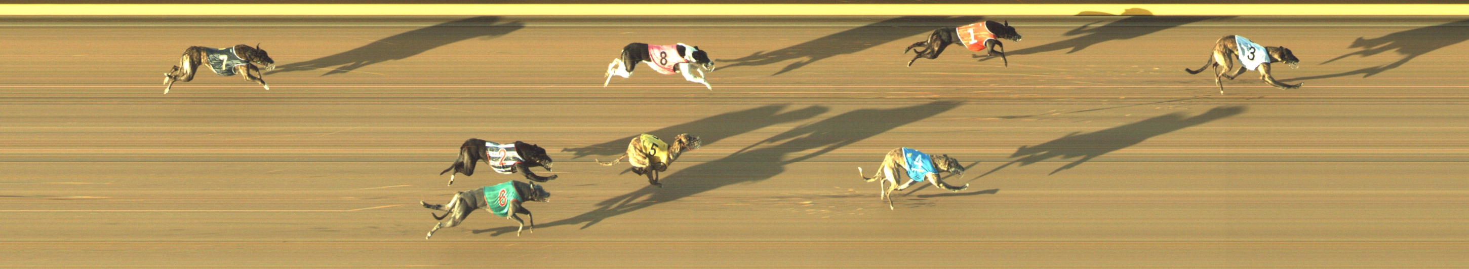 Photo finish for Geelong Race 13