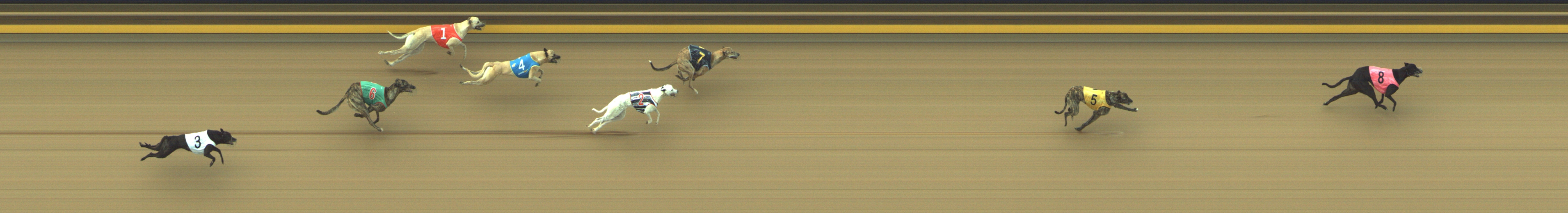 Photo finish for Geelong Race 1