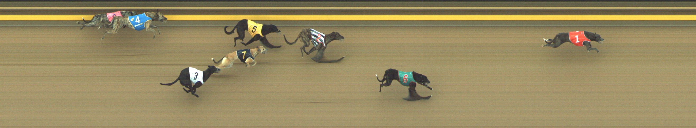 Photo finish for Geelong Race 2