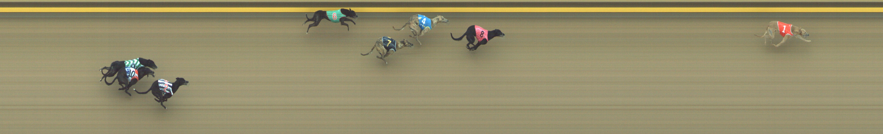 Photo finish for Geelong Race 3