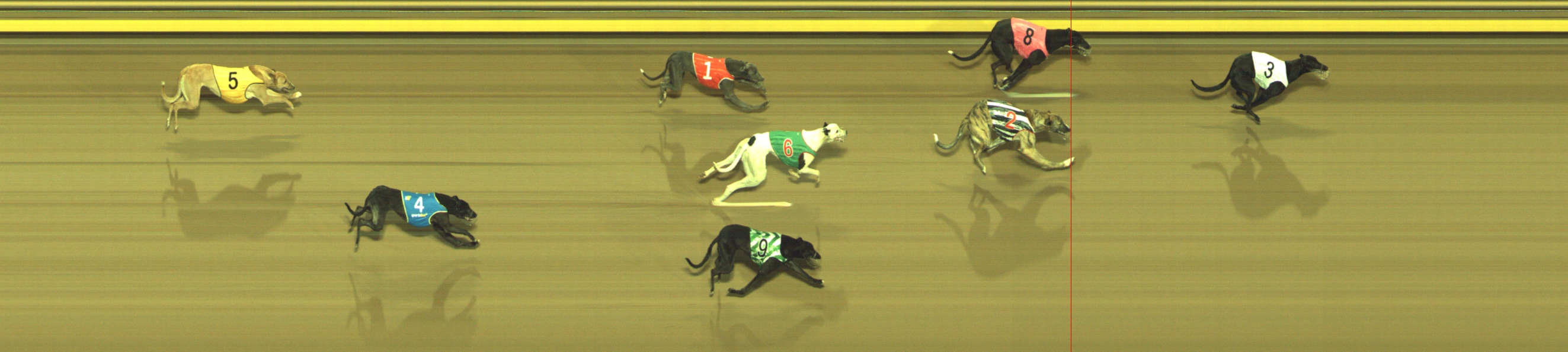 Photo finish for Geelong Race 4