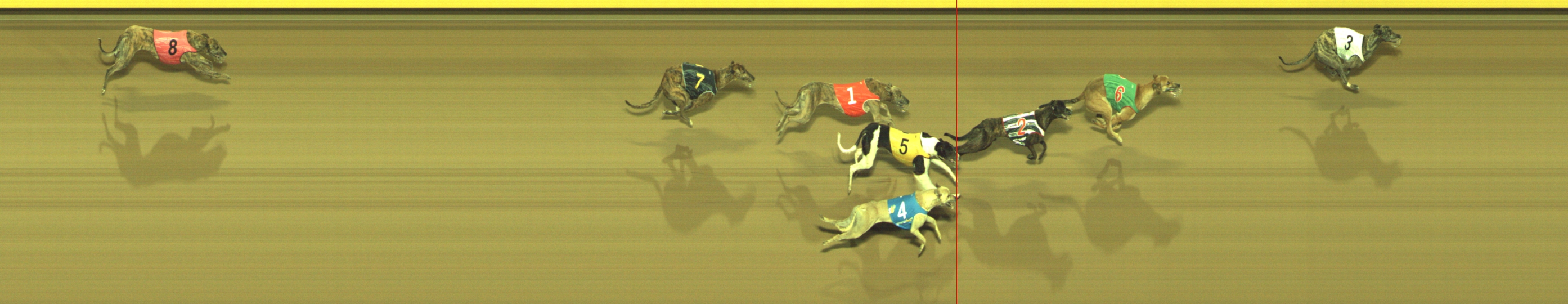 Photo finish for Geelong Race 5