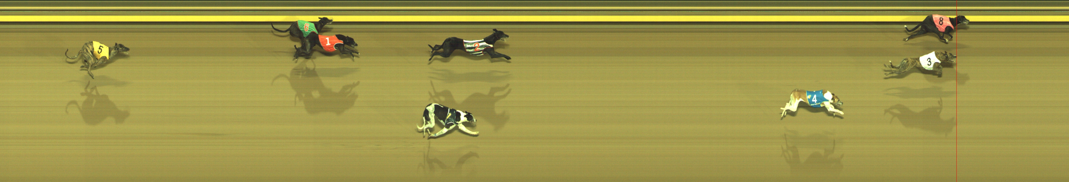 Photo finish for Geelong Race 6