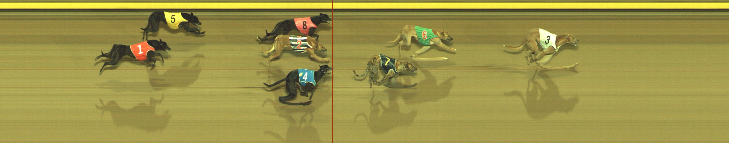 Photo finish for Geelong Race 7