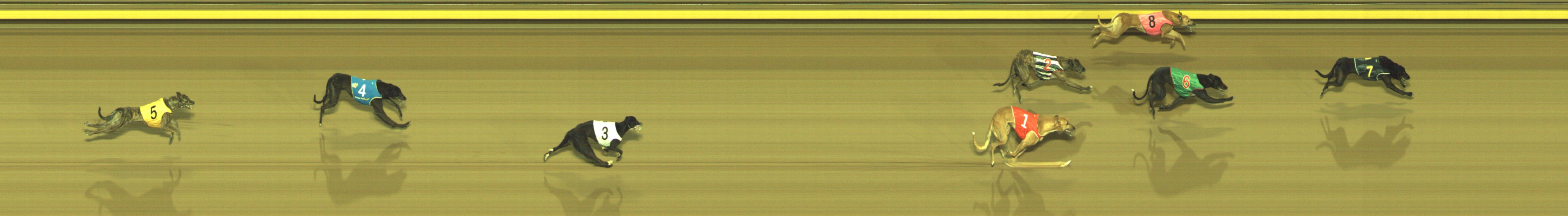 Photo finish for Geelong Race 8