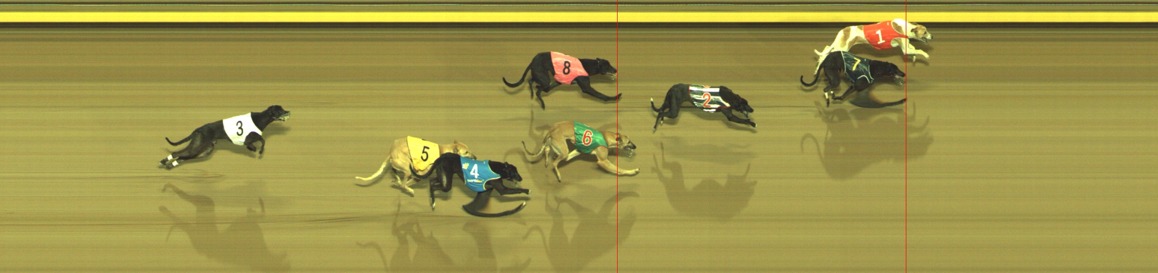 Photo finish for Geelong Race 9