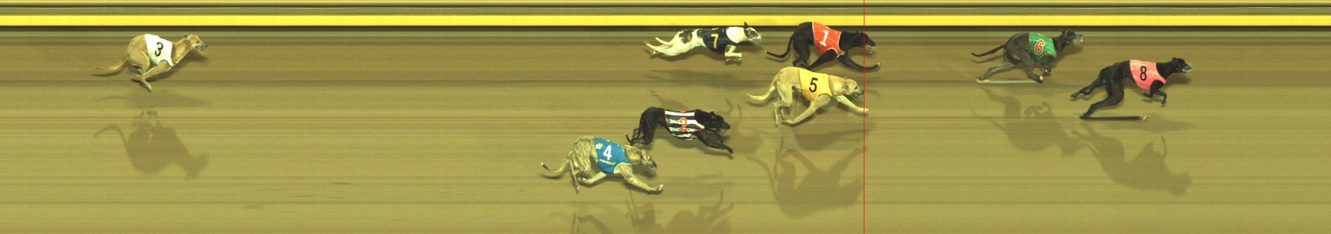 Photo finish for Geelong Race 10