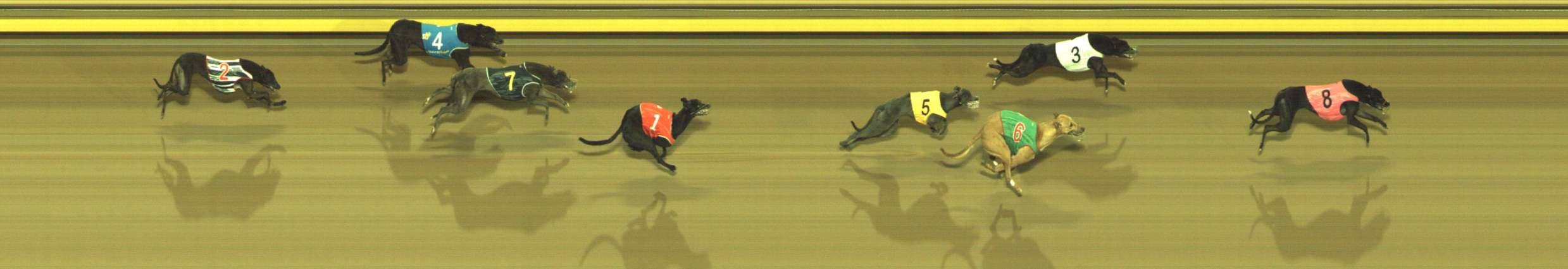 Photo finish for Geelong Race 11