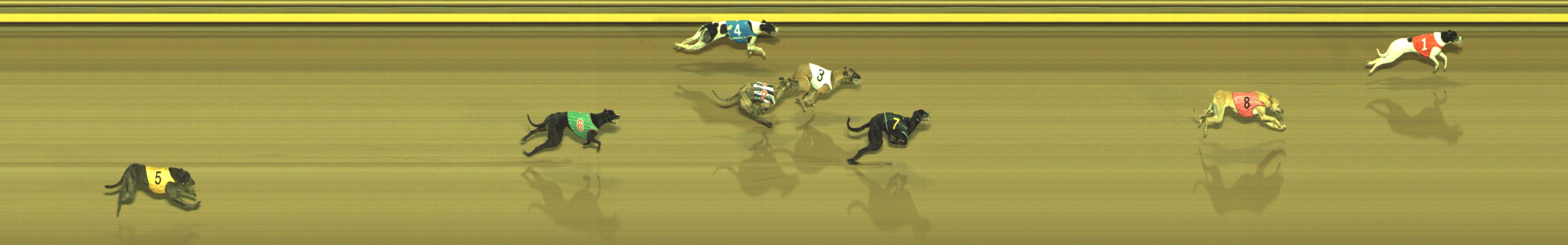 Photo finish for Geelong Race 12