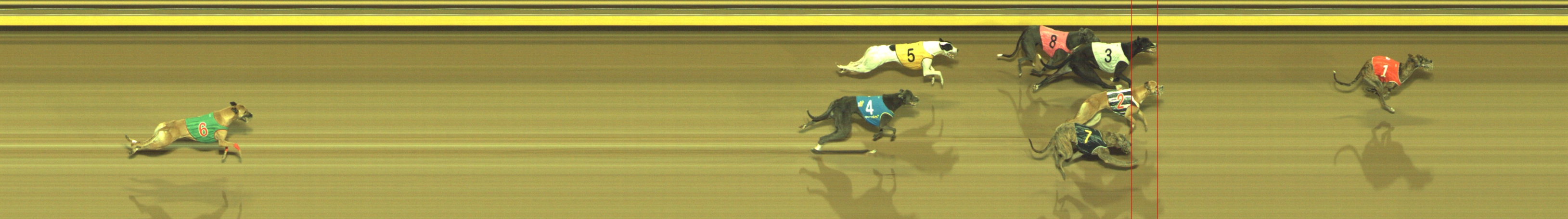 Photo finish for Geelong Race 9