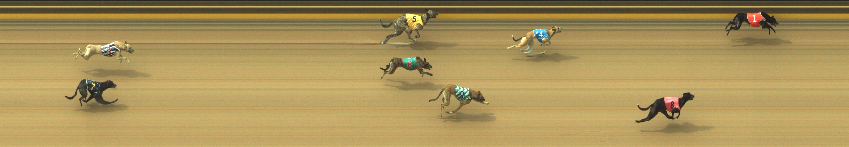 Photo finish for Geelong Race 2